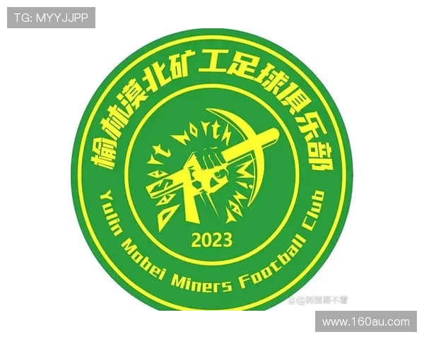 榆林漠北矿工签下王卓安世珉